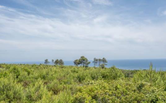 Bouwgrond - Uitverkoop - Javea - Cabo de Sant Antonio