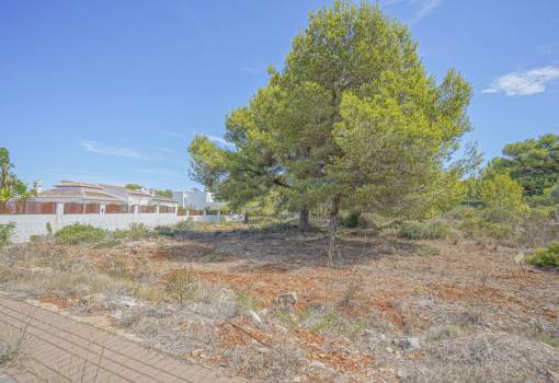 Bouwgrond - Uitverkoop - Javea - Costa Nova