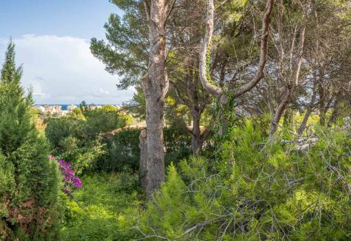 Building plot - Sale - Javea - Adsubia