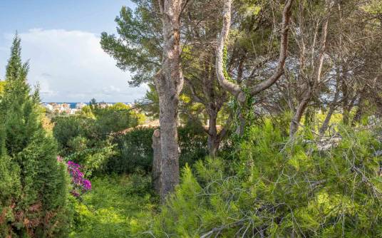 Building plot - Sale - Javea - Adsubia