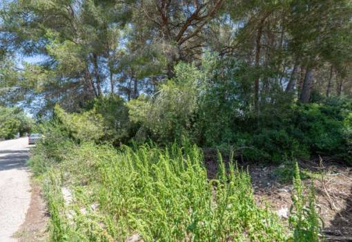 Building plot - Sale - Javea - Costa Nova