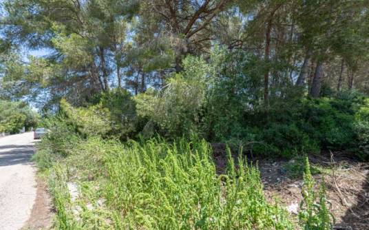 Building plot - Sale - Javea - Costa Nova