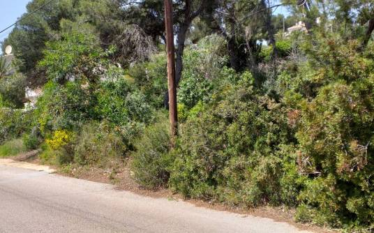 Building plot - Sale - Javea - Costa Nova