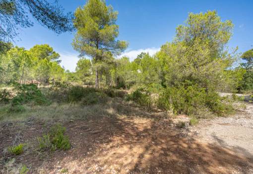 Building plot - Sale - Javea - pinosol