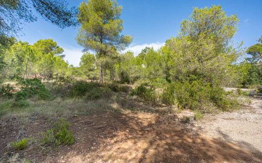 Building plot - Sale - Javea - pinosol