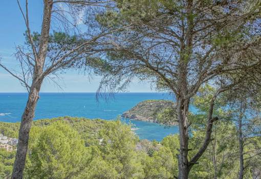 Building plot - Sale - Javea - Portichol