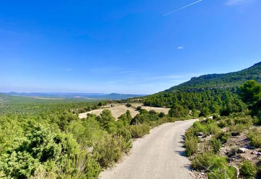 Finca / Country Property - Sale - Ayora - AD-076