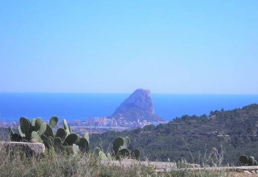 Finca / Country Property - Sale - Benissa - Pinets