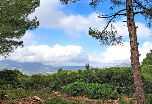 Parcela - Venta - Denia - AG-440