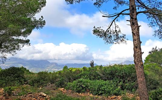 Parcela - Venta - Denia - La Pedrera
