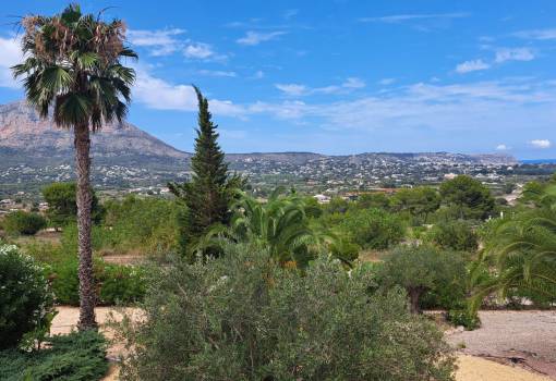 Parcela - Venta - Javea - AGS-336