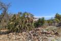 Plot for sale in Denia