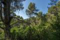 plot for sale in Javea