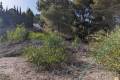 Plot for sale in Moraira