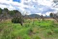 Plot for sale in Murla