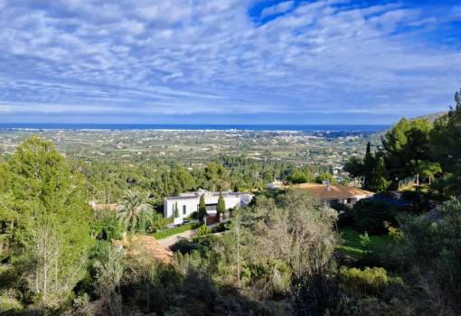 Plot/Land - Sale - Pedreguer - La Sella