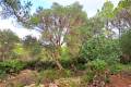 Plots for sale in Denia