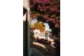 Продажа - Коммерческая собственность - Denia