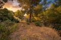 Sale - Building plot - Benissa - Buenavista