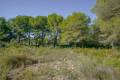 Sale - Building plot - Javea - Portichol