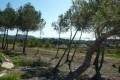 Sale - Building plot - Moraira - Sabatera