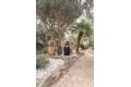 Sale - Commercial Property - Denia