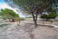 Sale - Finca / Country Property - Benissa - Partida Canor