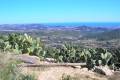 Sale - Finca / Country Property - Benissa - Pinets