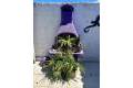 Sale - Finca / Country Property - El Vergel