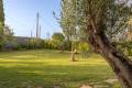 Sale - Finca / Country Property - La Xara - Benimaquia