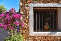 Sale - Villa - Javea