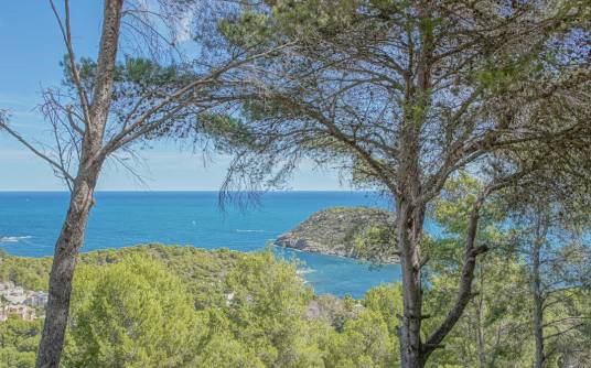 Участок под застройку - Продажа - Javea - Portichol