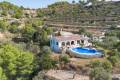 Uitverkoop - Finca / Landgoed - Benissa