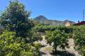 Uitverkoop - Finca / Landgoed - El Vergel