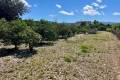Venta - Finca / Casa de Campo - El Vergel