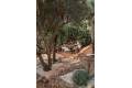 Venta - Propiedad comercial - Denia