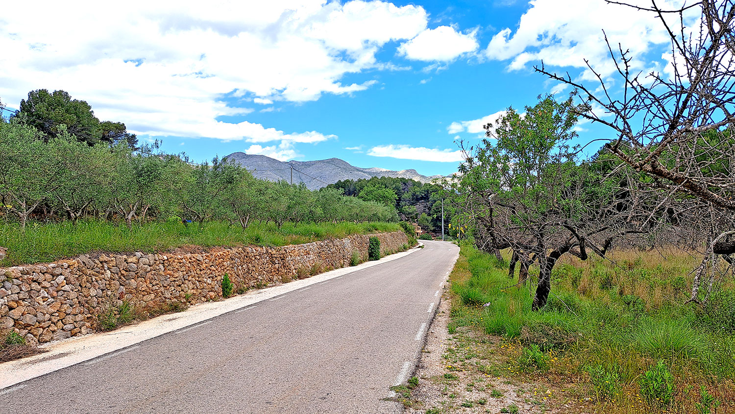 Parcela urbanizable en venta en Murla zona Puerta del valle